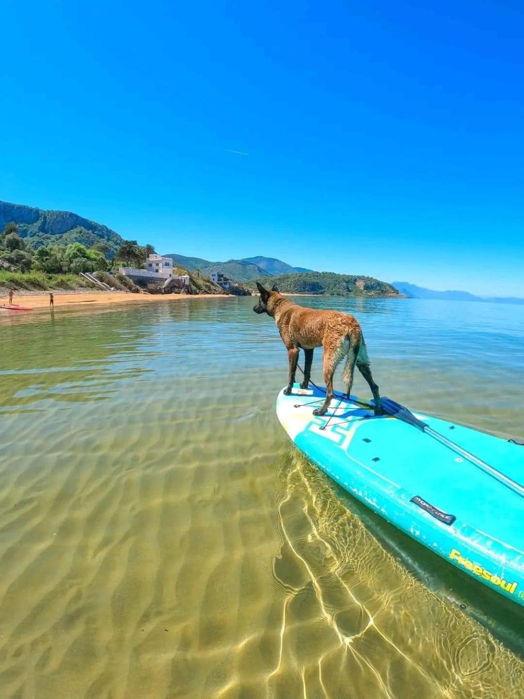 Hotel Plage D'Or Dzsidzselli Kültér fotó